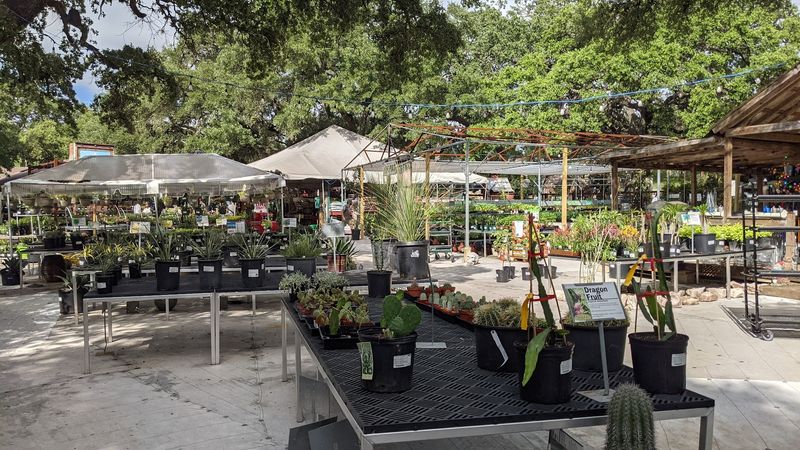 Dog-Friendly Policies That Welcome Your Four-Legged Shoppers