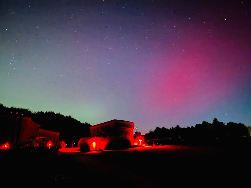 Family Tips and Night Photography