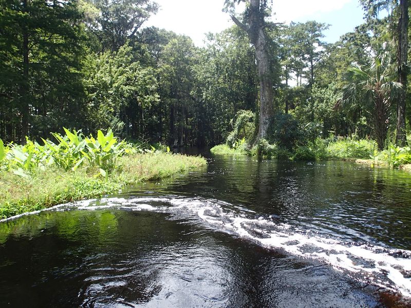 Hiking Trails Wind Through Wild Florida