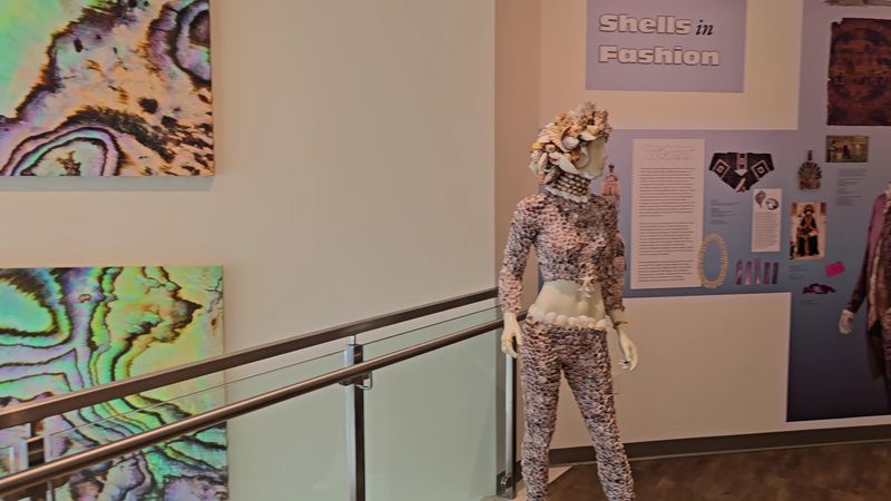 Shells in Fashion and Culture: The Exhibit You Didn't Expect