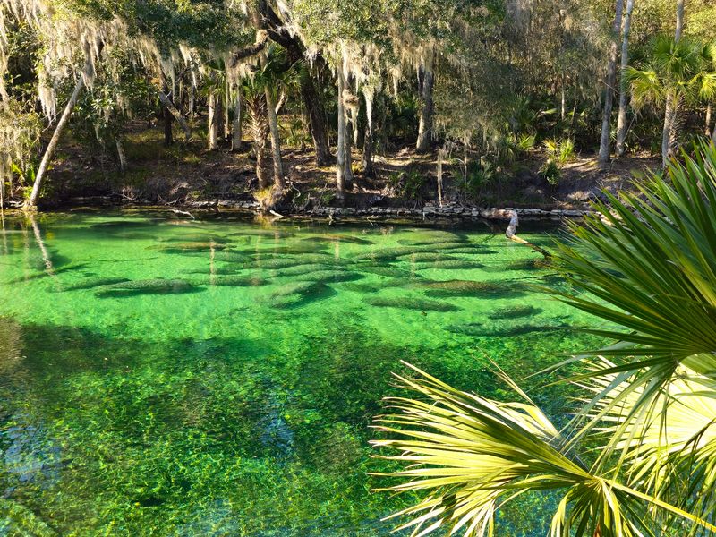 Blue Spring State Park (Orange City)