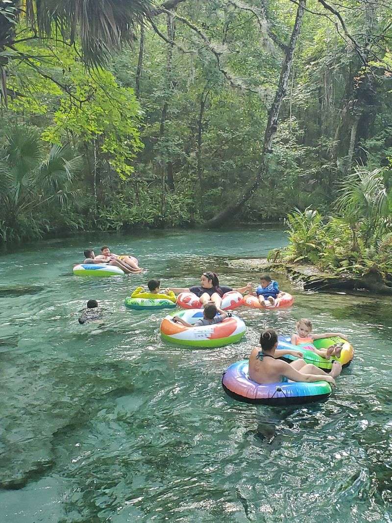Float Down A Natural Lazy River At Kelly Park/Rock Springs (Apopka)