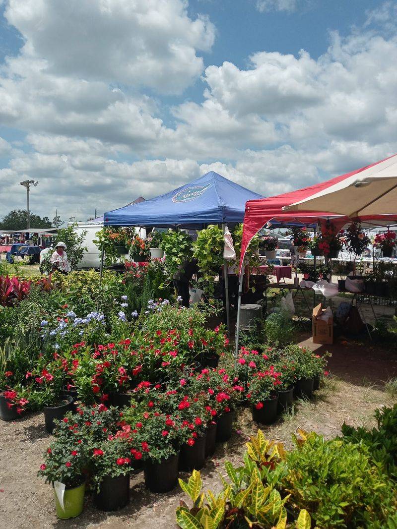 Plant Paradise With Unbeatable Prices