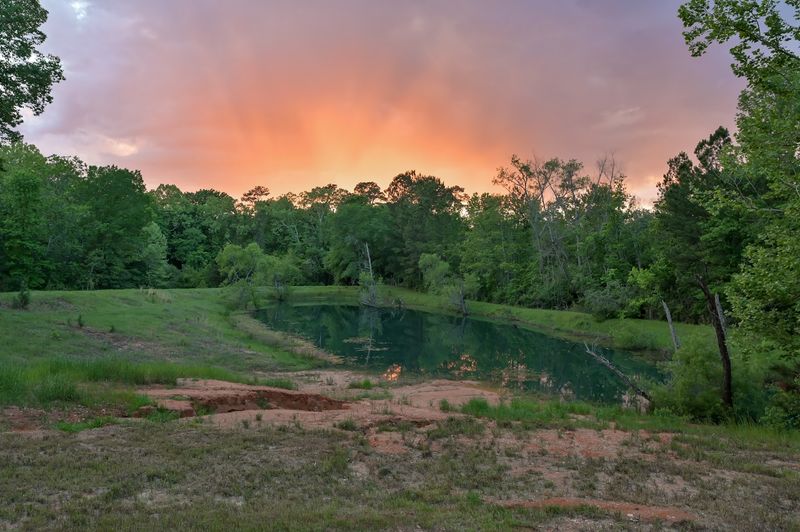 Why Coldspring Works So Well