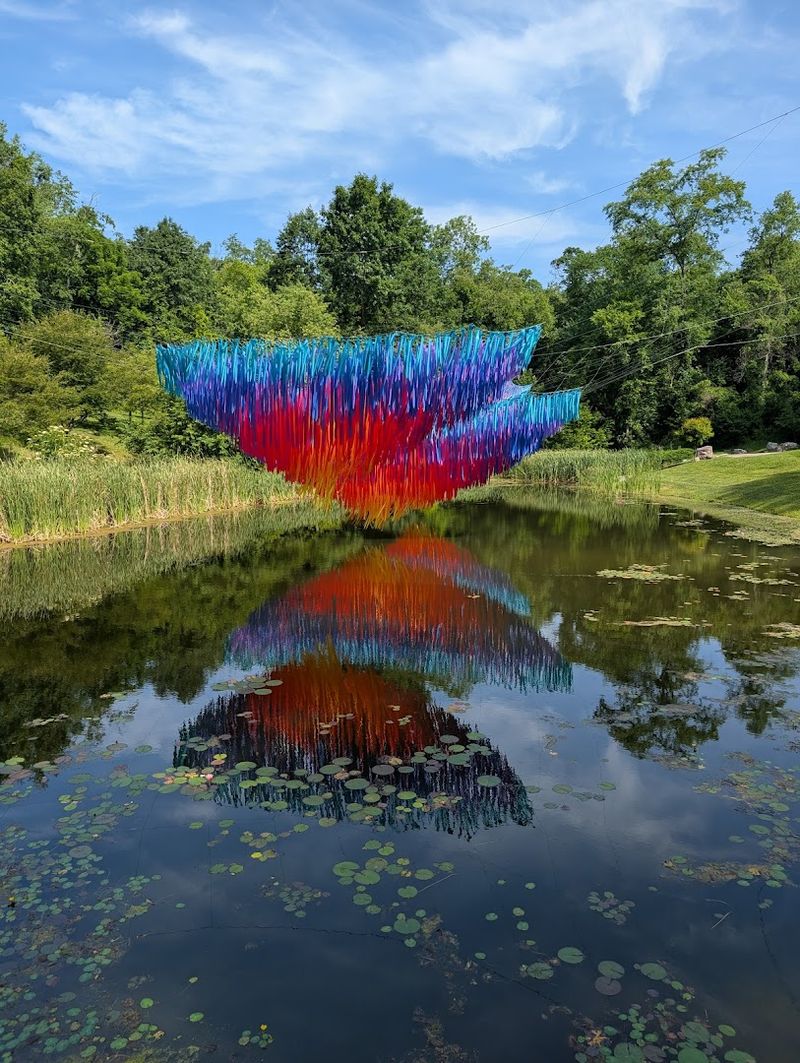 Lotus Pond and Water Reflections