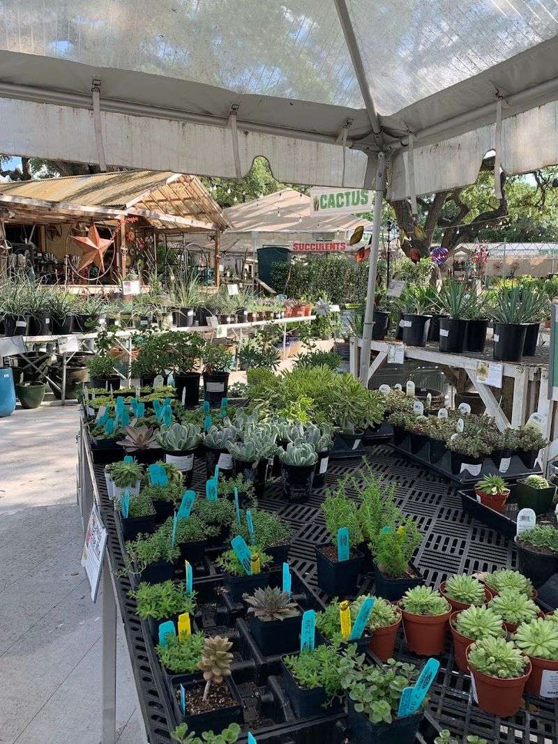 Customer Service That Goes Above and Beyond Expectations