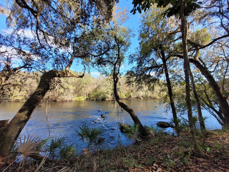 Santa Fe River: Paddle Through Old Florida