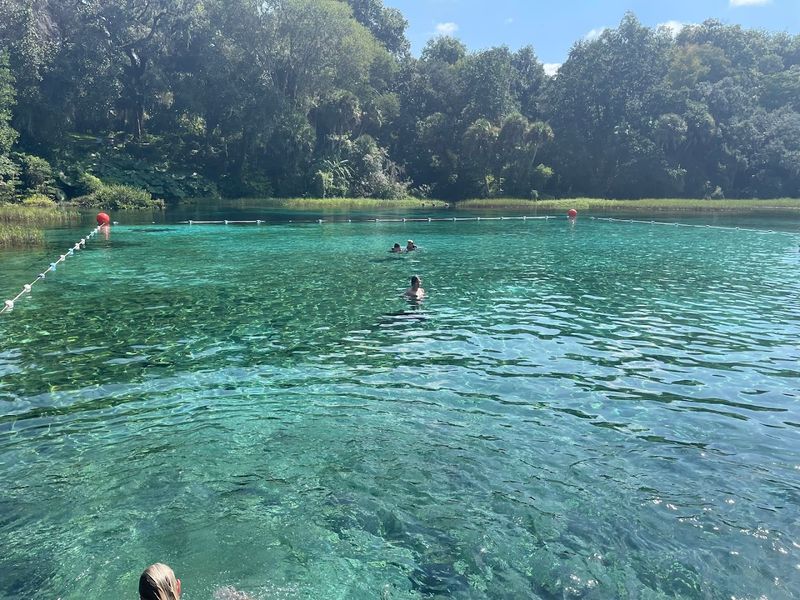 Rainbow Springs / Rainbow River