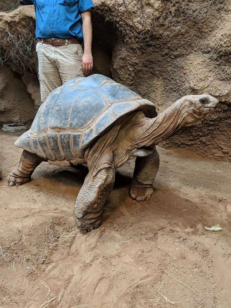 Explore One Of Pennsylvania’s Best Reptile Collections