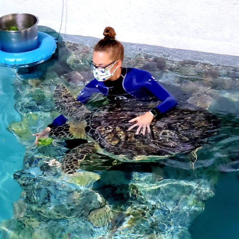Clearwater Marine Aquarium (Clearwater)