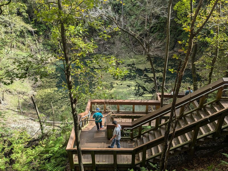 Devil's Millhopper Geological State Park (Gainesville)