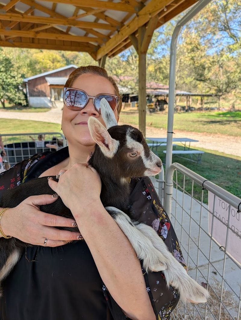 How Noble Springs Dairy Blends Charm, Education, and Rural Beauty