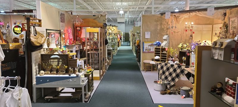 Dog Friendly Treasure Hunt