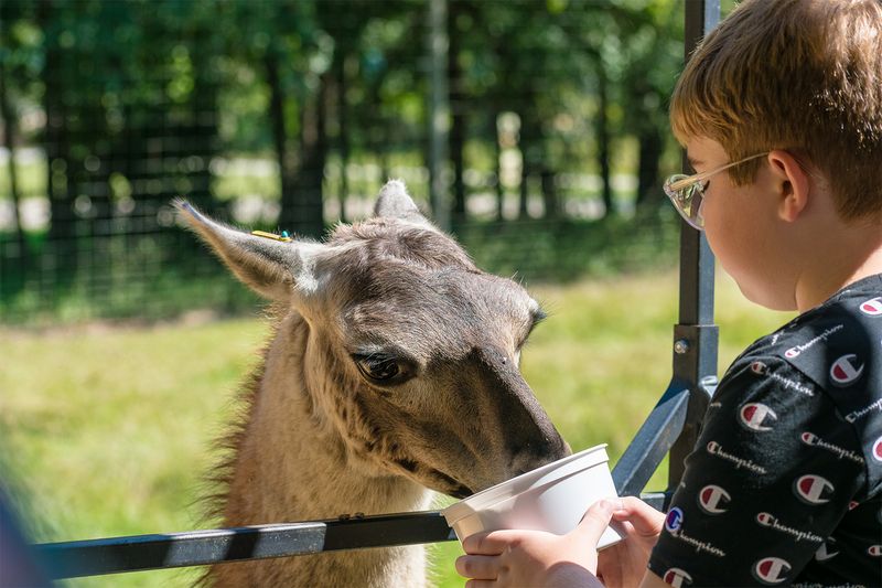 Family Playbook: Kids, Grandparents, and Group Fun