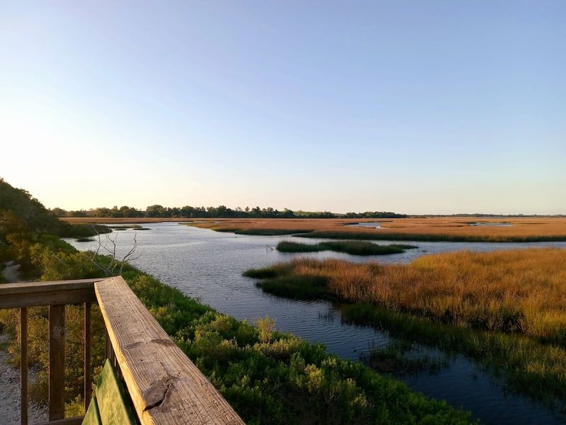 The Observation Deck and St. Johns River Views