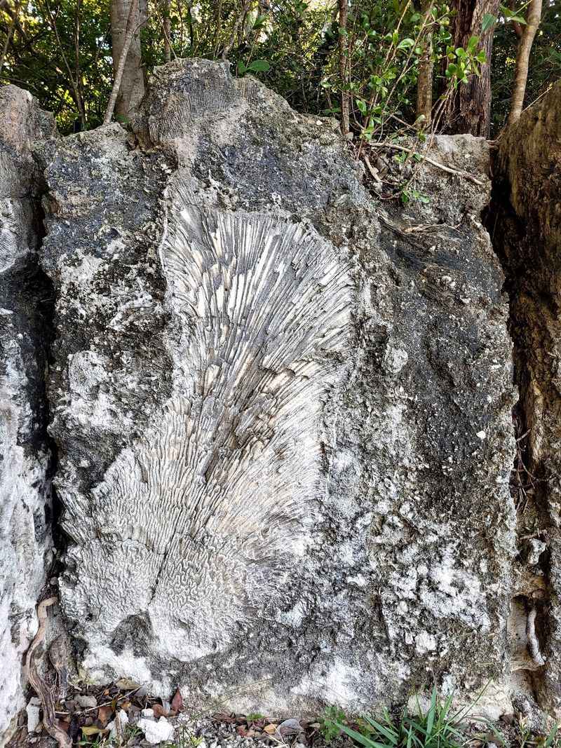 Hands-On Geology Lesson for All Ages