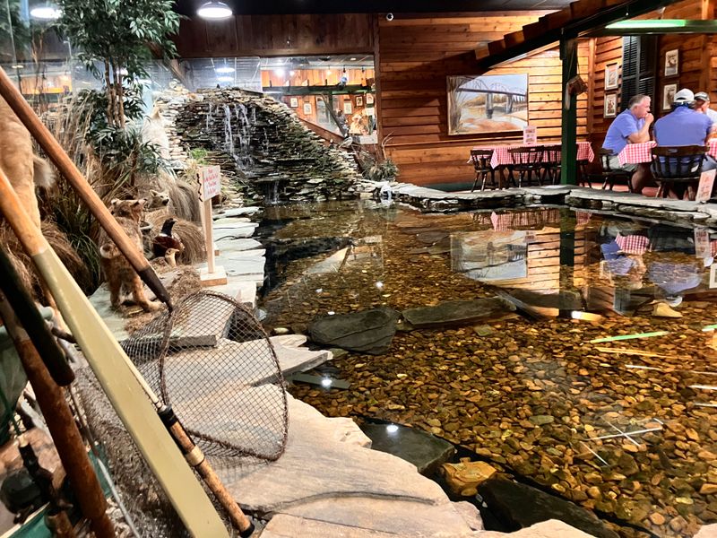 Atmosphere: Lodge Vibes And A Pond