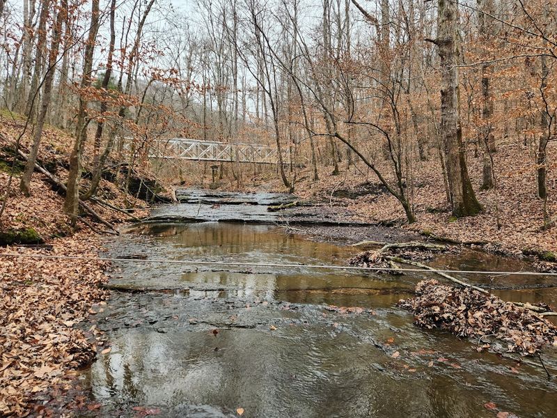 Henry Hollow Loop — Beaman Park, Nashville Area