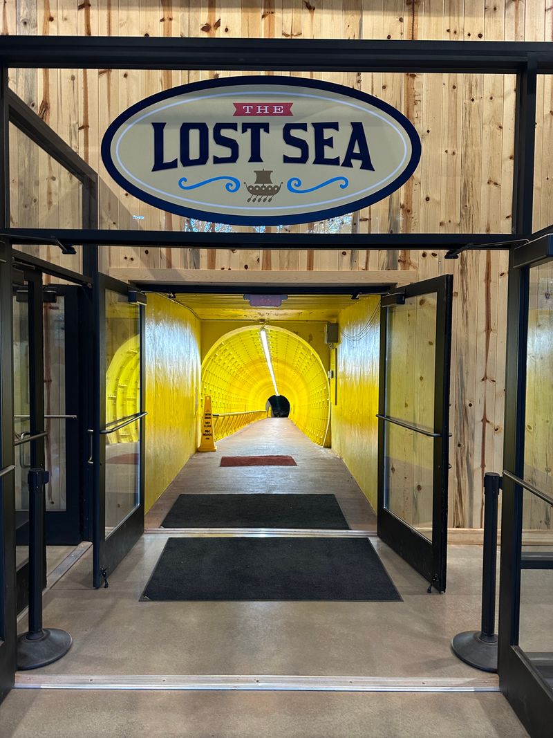 What to Know Before You Visit (Tickets, Timing, and Tips)