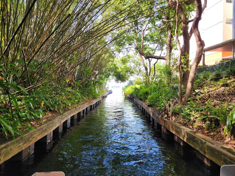 Shaded Canals That Feel Like Secret Passages
