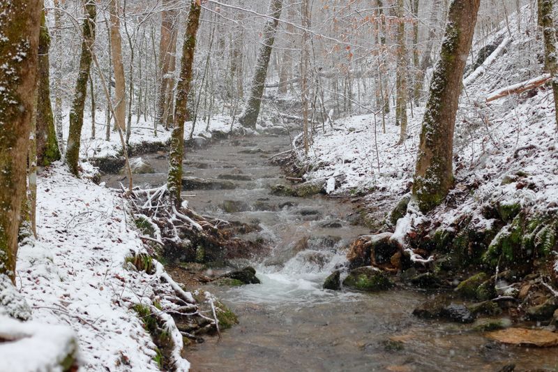 Seasons, Weather, and When to Go