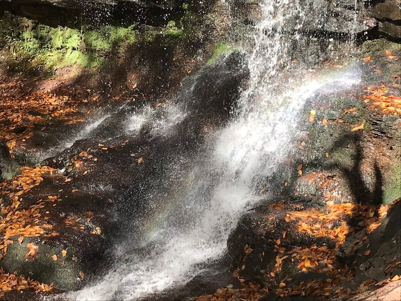 Adams Falls: A Short Side Stop