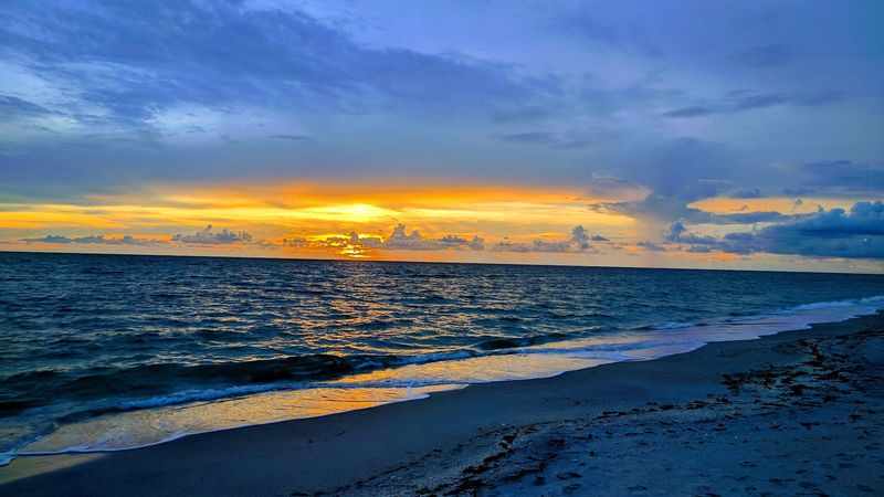 Sea Turtle Season Etiquette and Sunrise Tracks