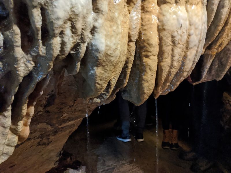 The bottomless pool is the cavern's unforgettable centerpiece