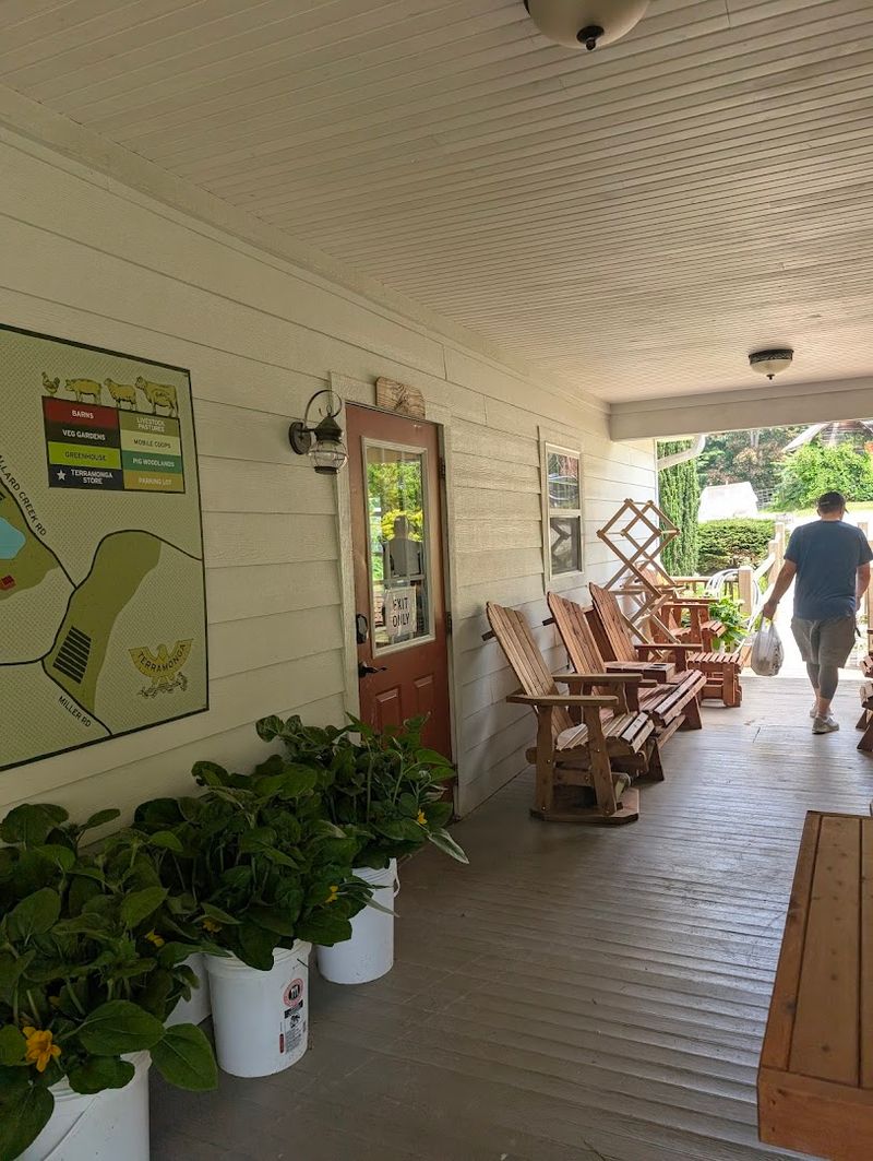 Porch Picnic And Alpaca Waves