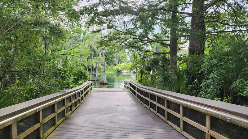 Scenic Paved Walking Trails Through Nature