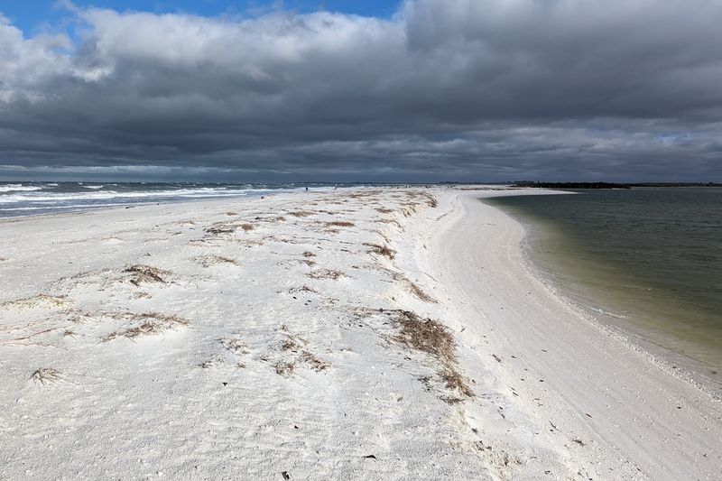Shell Collector's Dream Destination