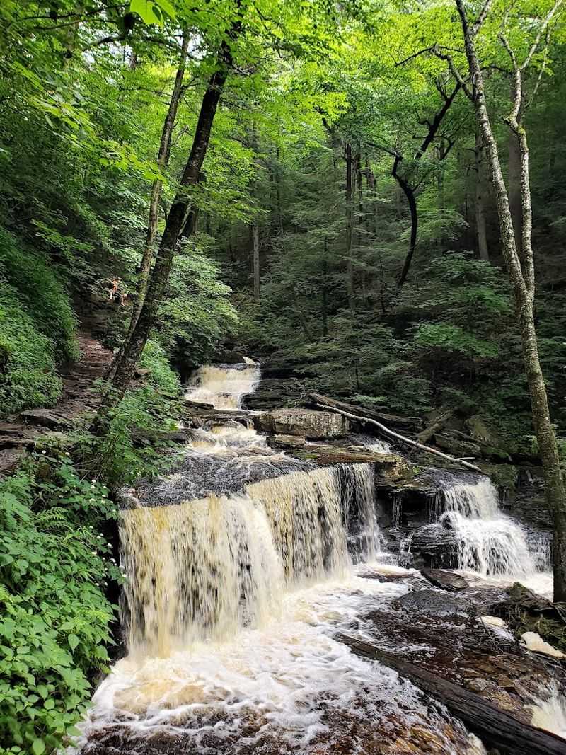 Ganoga Glen Section: Rugged Beauty