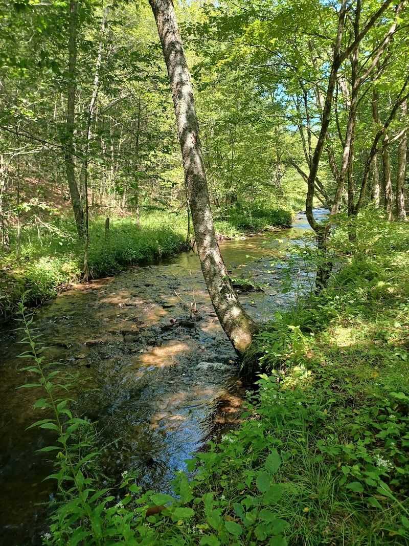 A Whisper Among Parks: Why It Stays Hidden