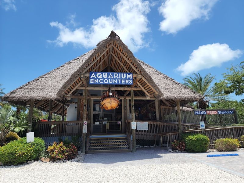 Florida Keys Aquarium Encounters (Marathon)