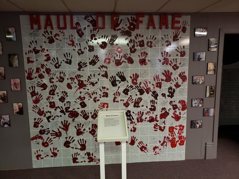 Hours And Best Times To Visit