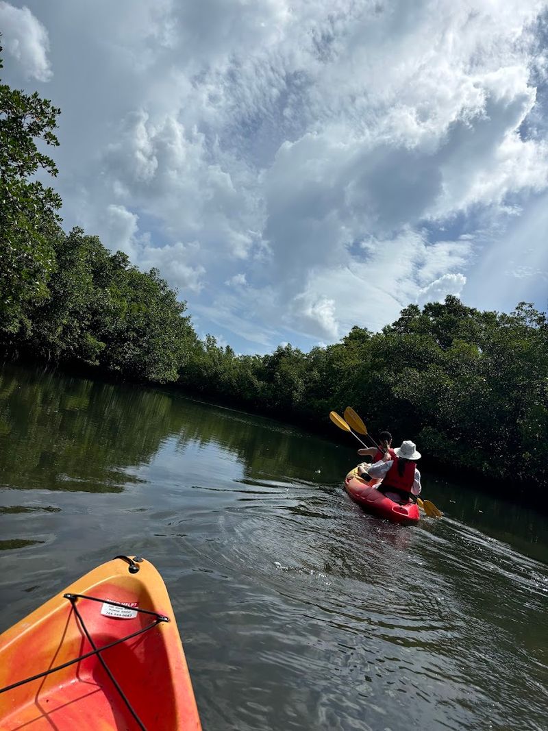 Getting There Is Half the Fun