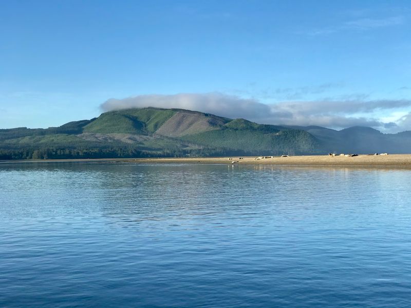 Kayaking Quiet Channels
