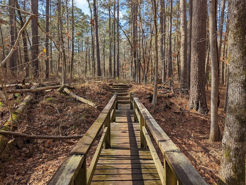 Eight and a Half Miles of Hiking Trails