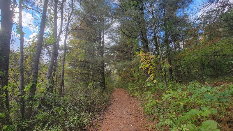 Trail Network For Wanderers