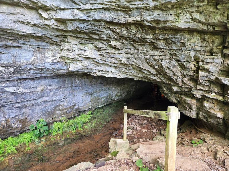 Do a lantern tour at Bell Witch Cave in Adams