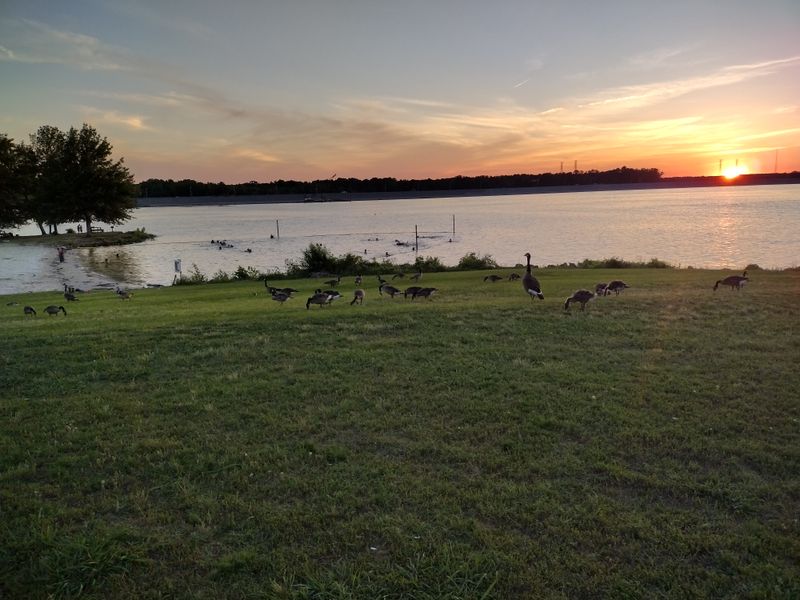 Wildlife, Sunsets, and the Peaceful Pace of Park Life