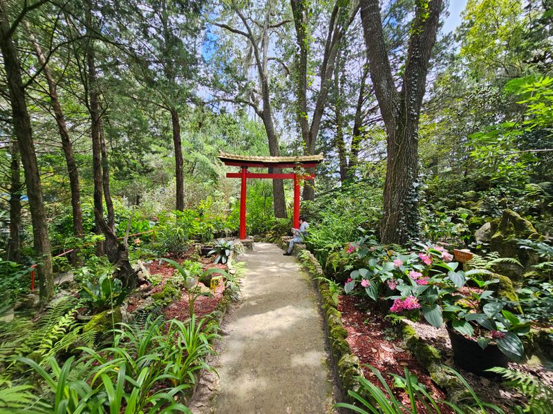 Easy Day Trip Logistics From Ocala