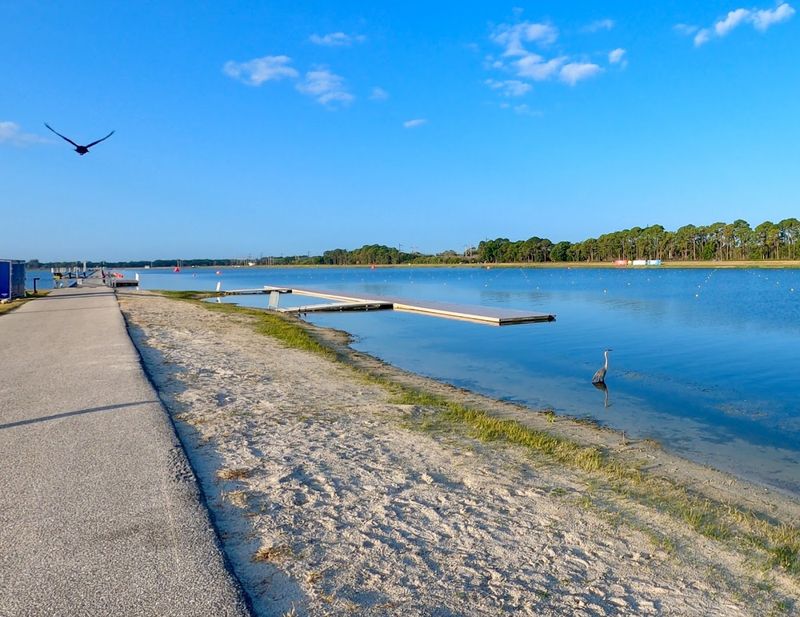 Water Activities Beyond Rowing Including Kayaking And Remote Control Boats