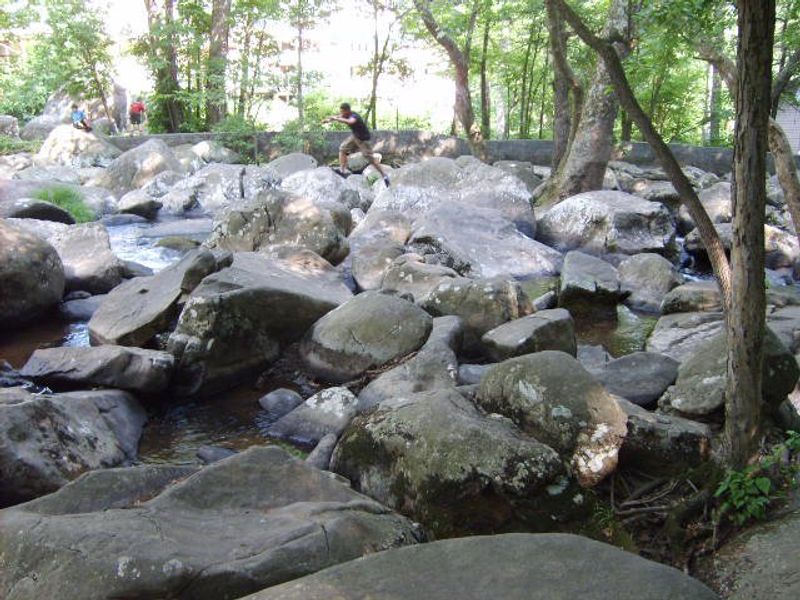 The Falls of French Creek and Boulder Hopping
