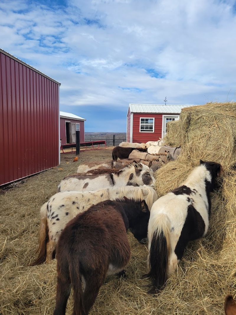 Why This Cumberland Furnace Spot Belongs on Your Tennessee Bucket List