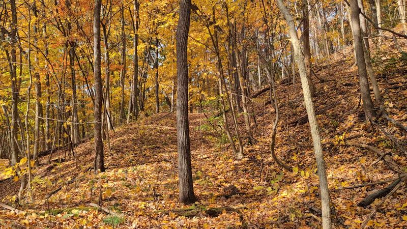 Seasonal Highlights And Weather