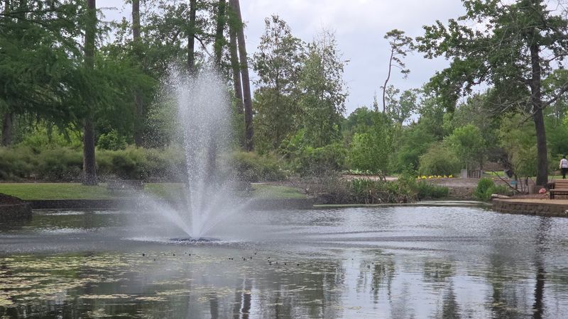 Photography Opportunities Draw Professionals and Hobbyists