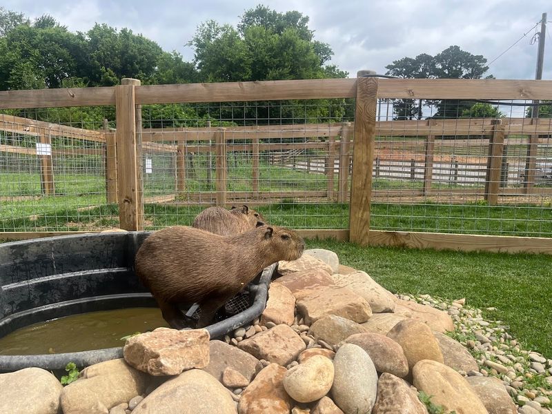 What to Know Before Visiting This Sweetwater Spot