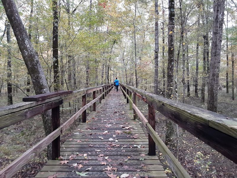 Big Hill Pond State Park Is One of Tennessee's Most Beautiful Hidden Gems