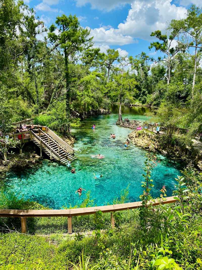 Madison Blue Spring State Park (Lee)
